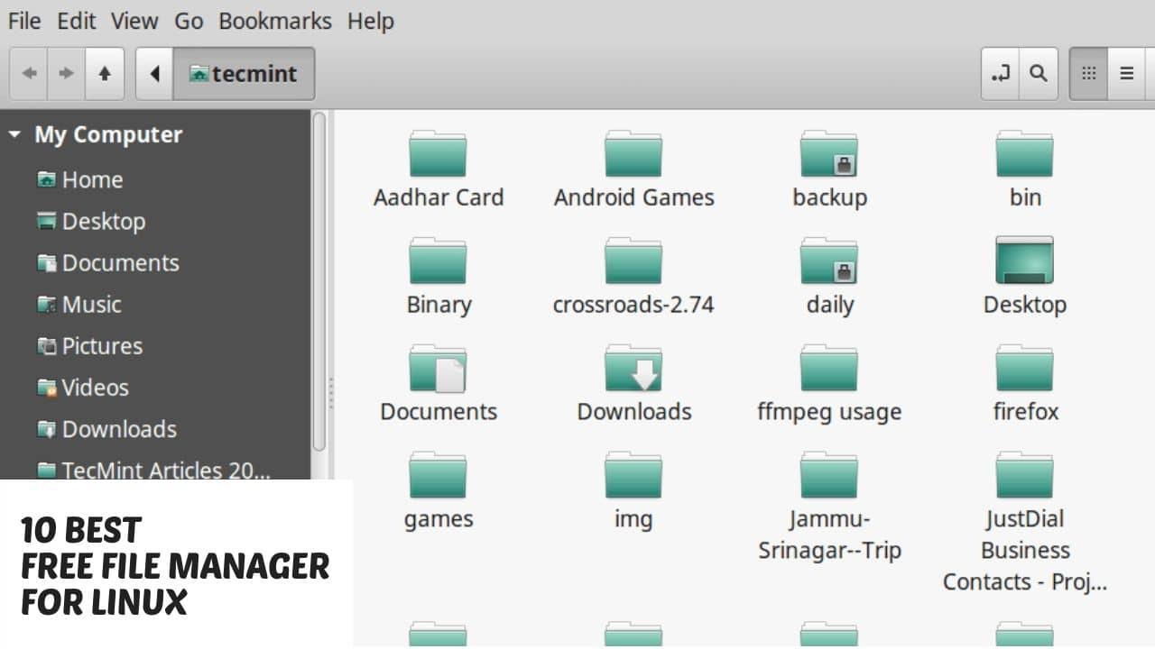 Read more about the article 10 Best Free File manager for Linux