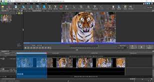 Read more about the article 8 Best Online Video Editing Software