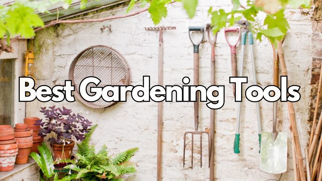 Read more about the article Best Gardening Tools in (2024)